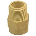 Nibco 34 CPVC MIP Adapter T00070D